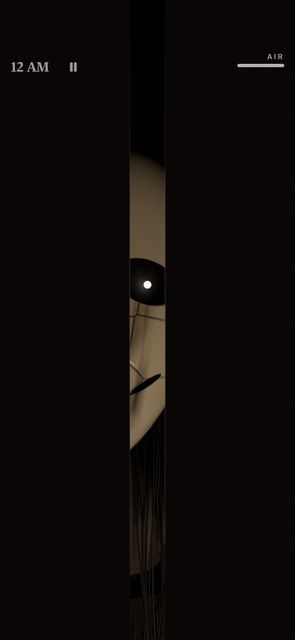iPhone: peeking through the crack